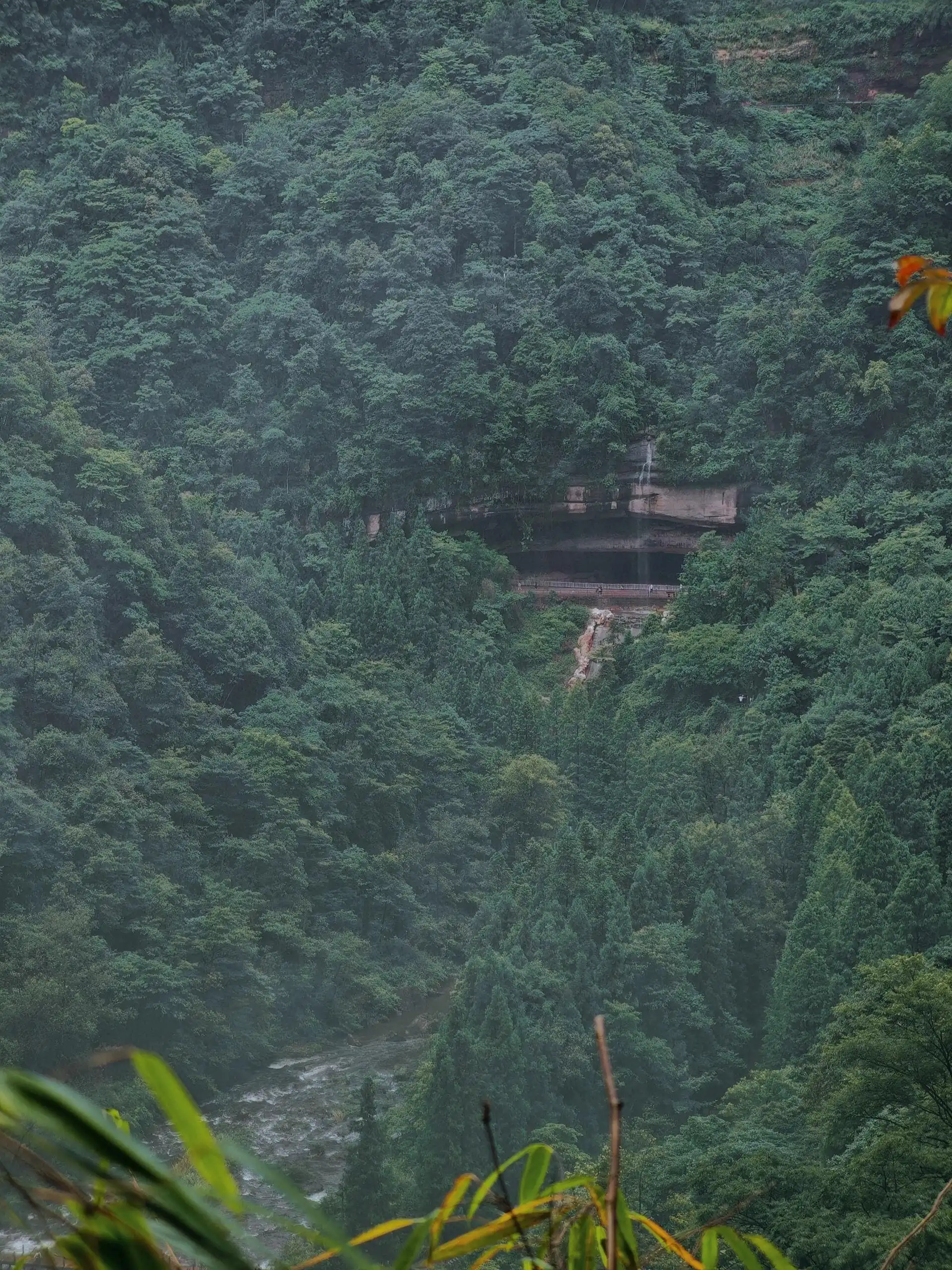 Simian Mountain - 江津四面山 Chongqing Tourist Attraction