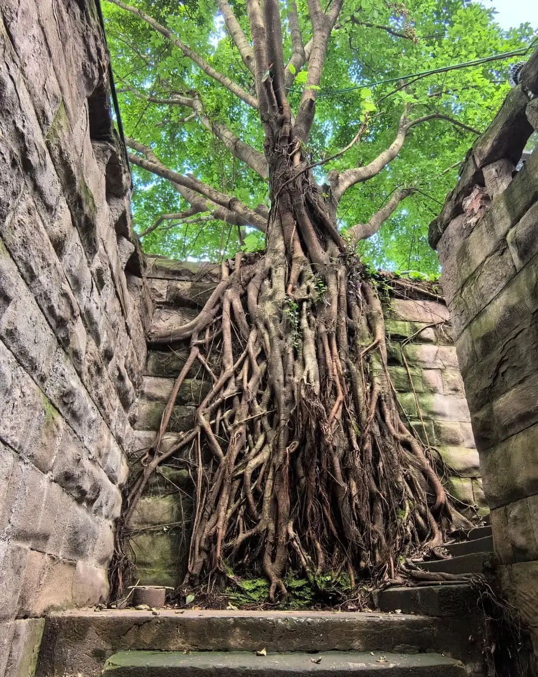 Three-Layer Road - 三层马路 Chongqing Tourist Attraction