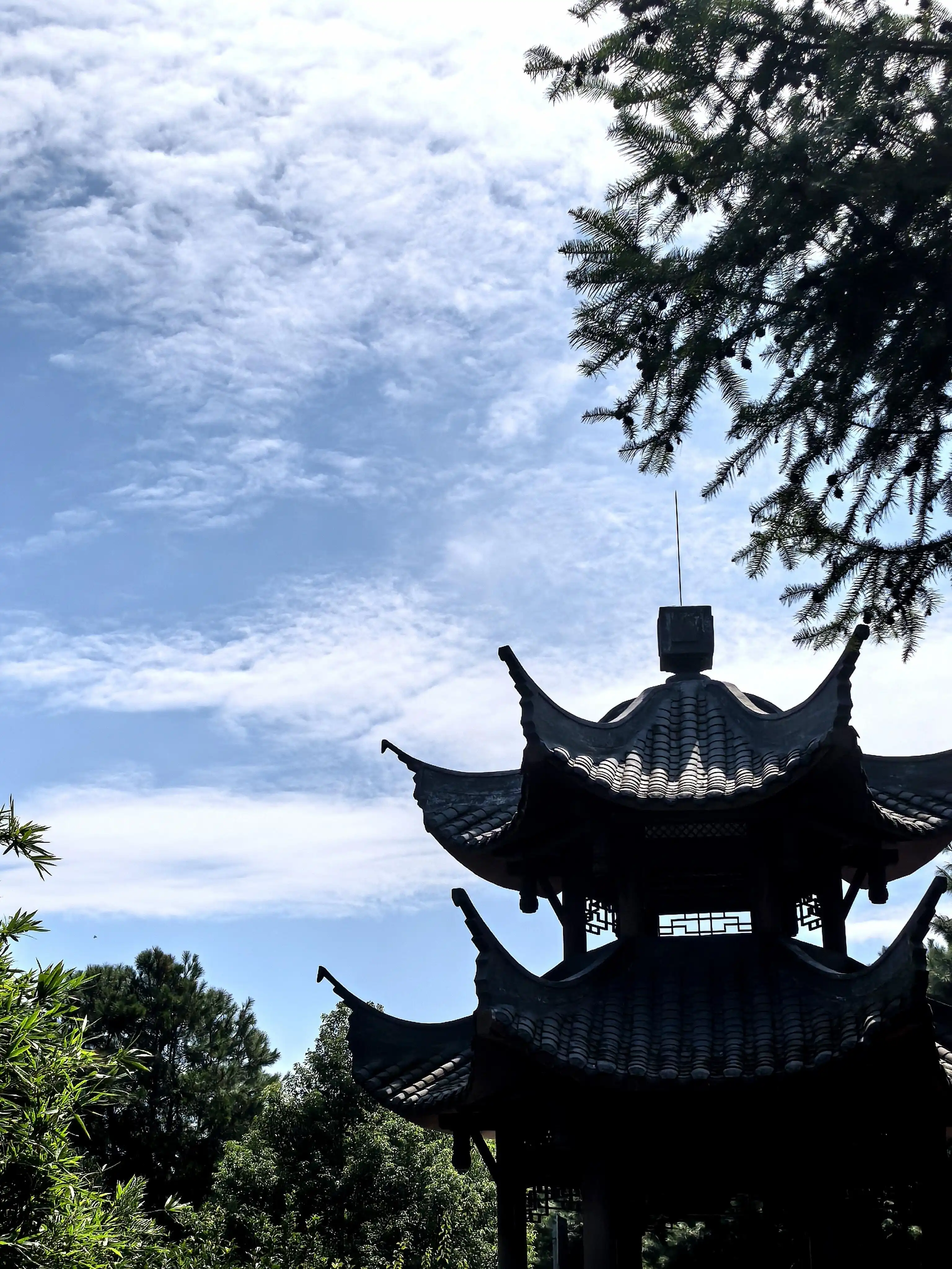 Tieshanping Forest Park - 铁山坪森林公园 Chongqing Tourist Attraction