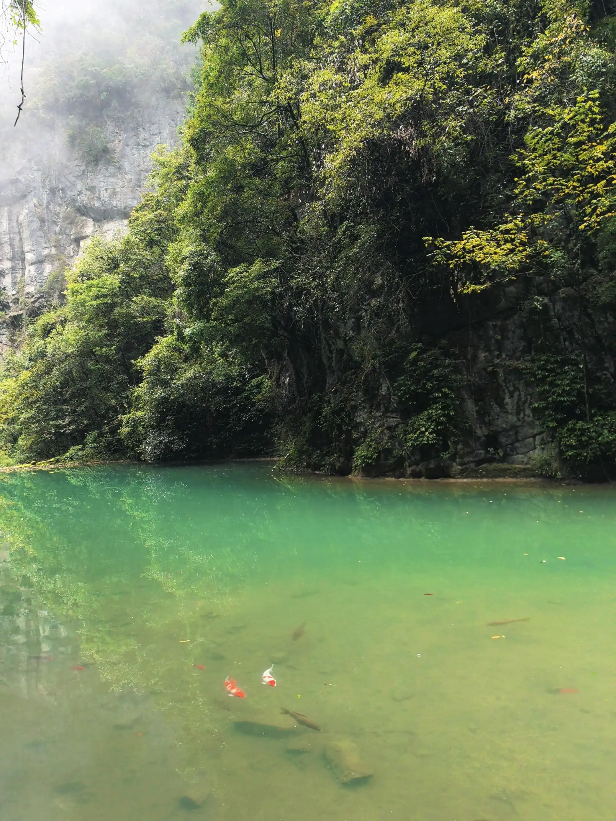 Wulong Three Natural Bridges - 武隆天生三桥 Chongqing Tourist Attraction