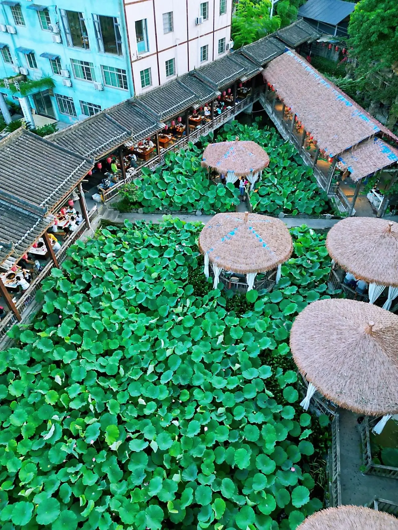 Xianlongjing Hotpot - 鲜龙井火锅 Chongqing Tourist Attraction