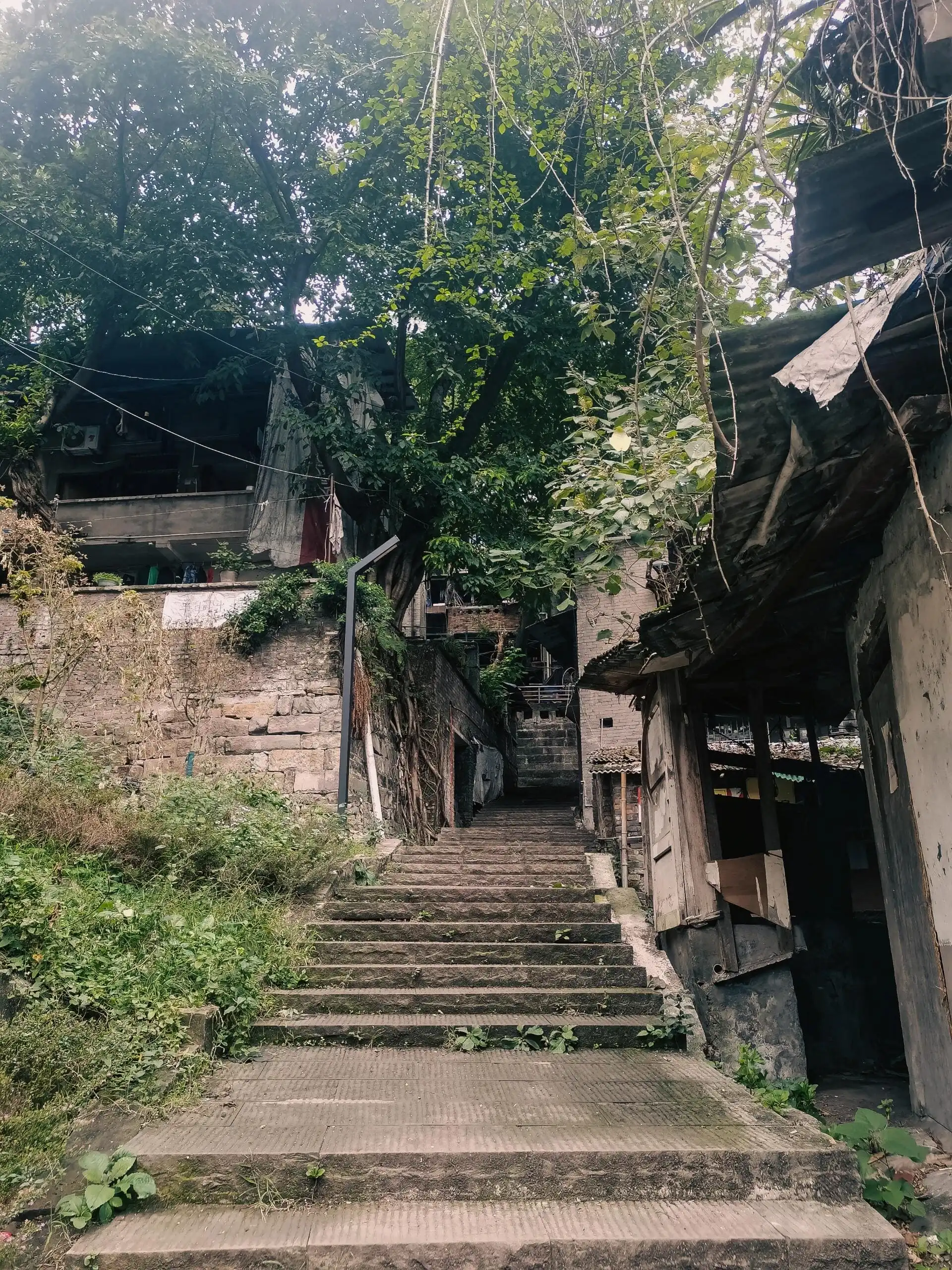 Yeshuigou - 野水沟 Chongqing Tourist Attraction