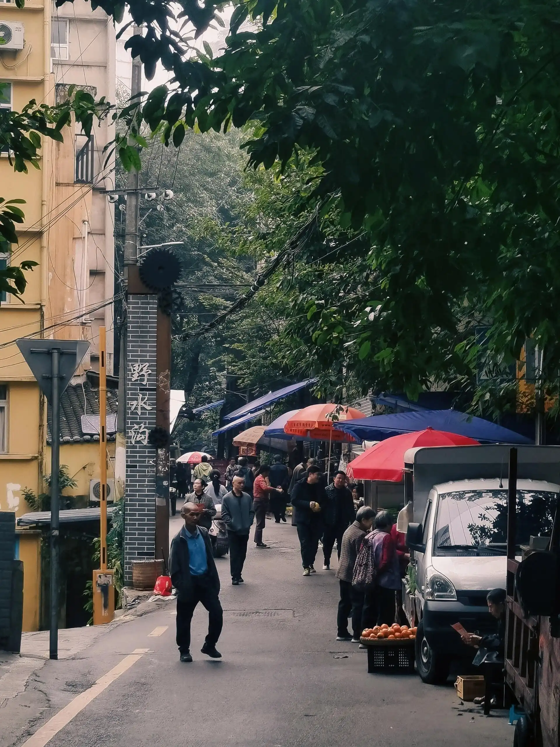 Yeshuigou - 野水沟 Chongqing Tourist Attraction