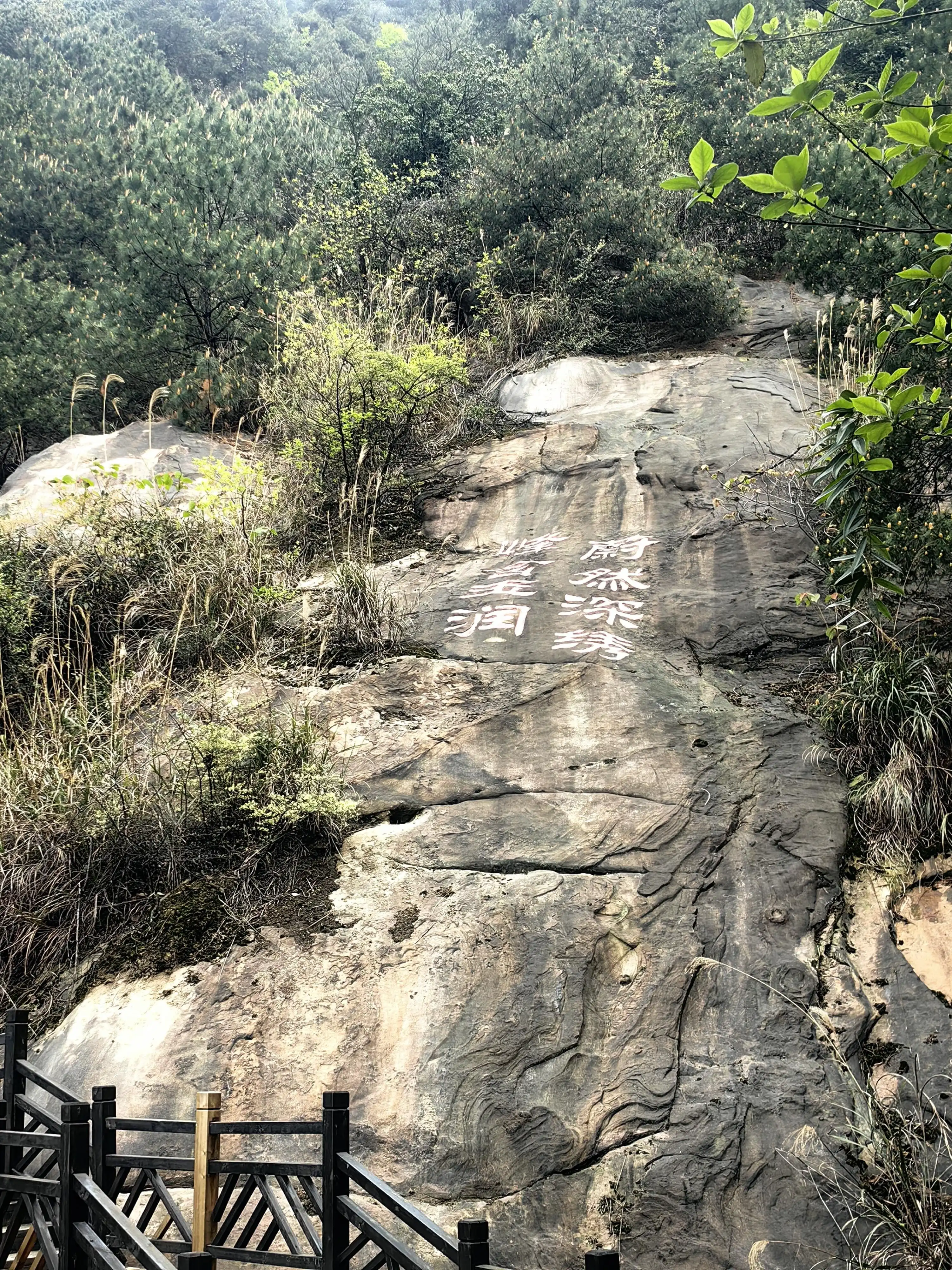 Yufeng Mountain Forest Park - 玉峰山森林公园 Chongqing Tourist Attraction