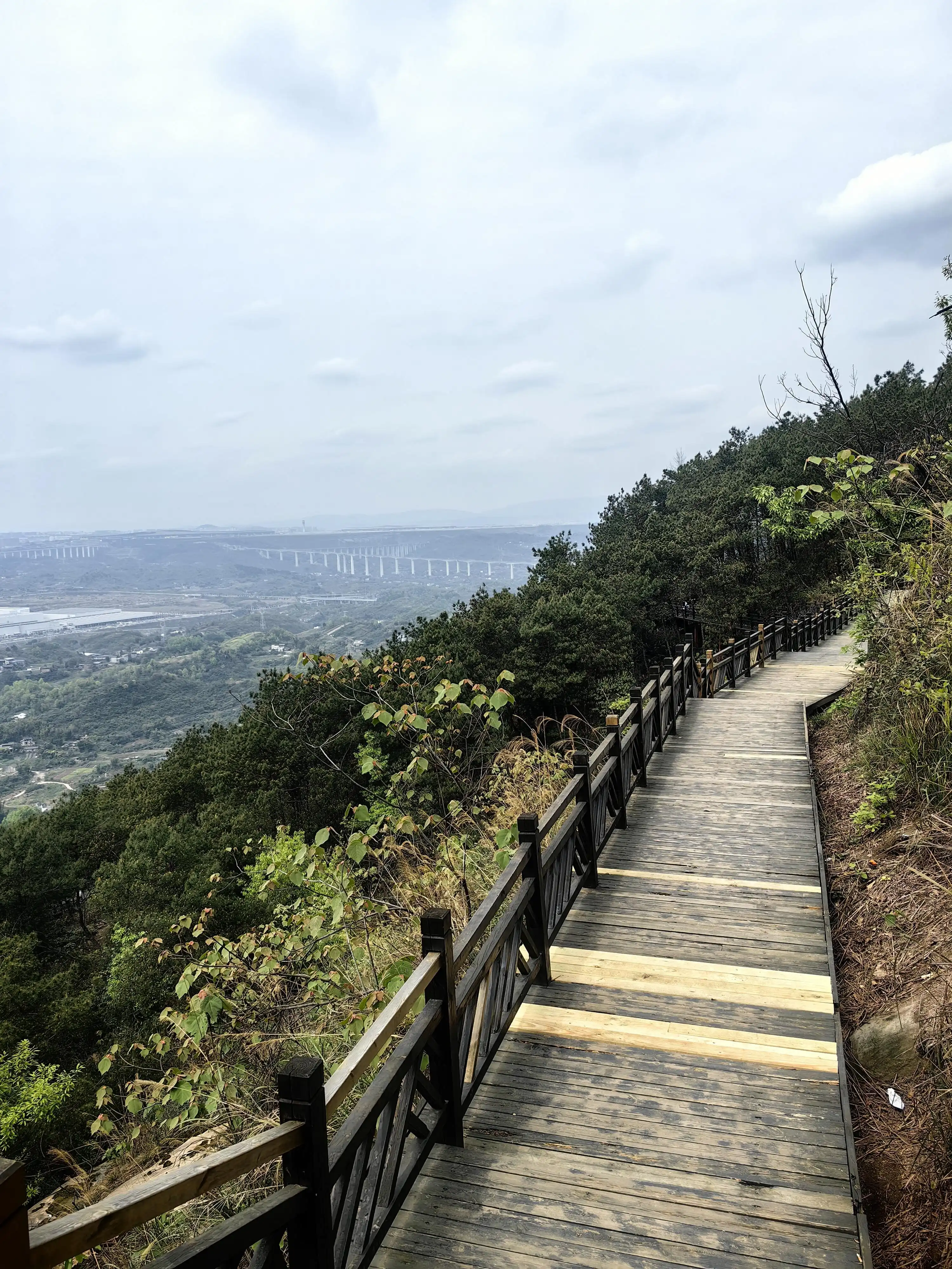 Yufeng Mountain Forest Park - 玉峰山森林公园 Chongqing Tourist Attraction