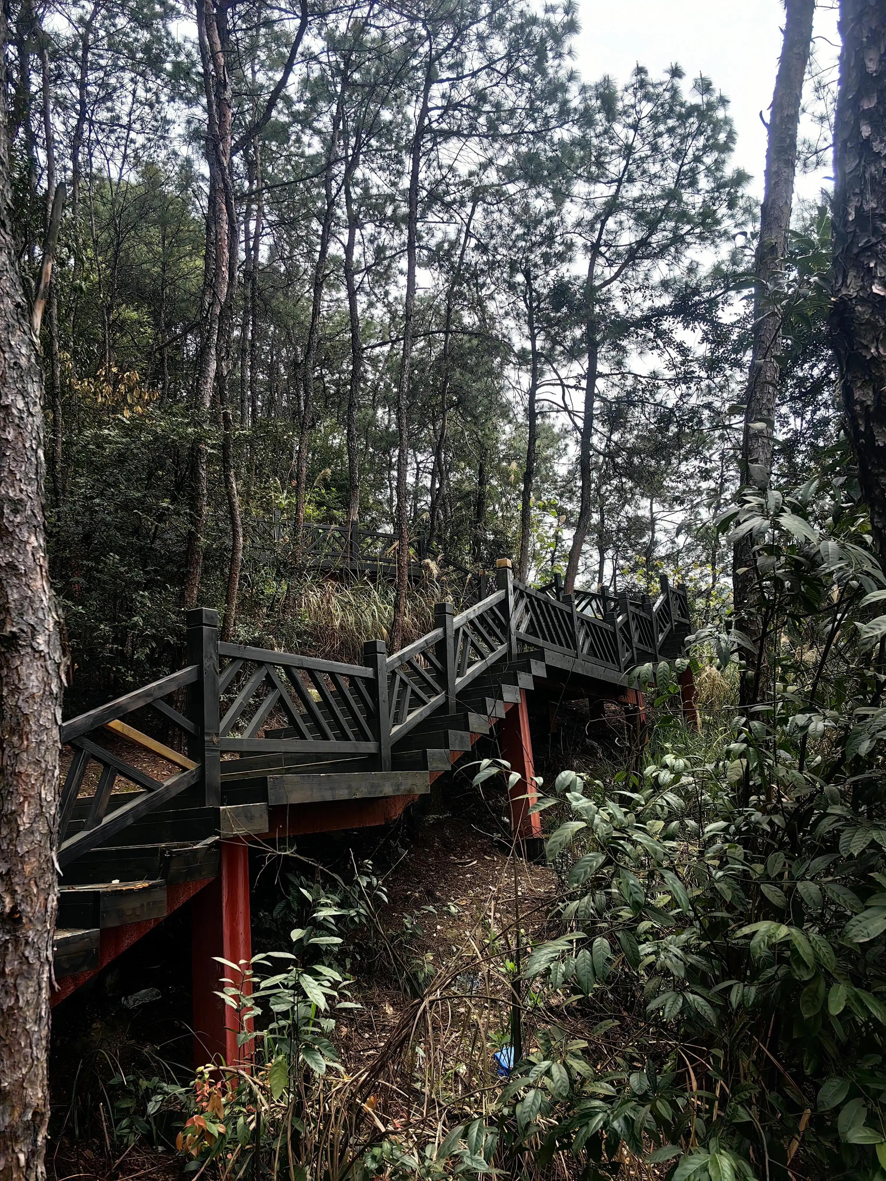 Yufeng Mountain Forest Park - 玉峰山森林公园 Chongqing Tourist Attraction