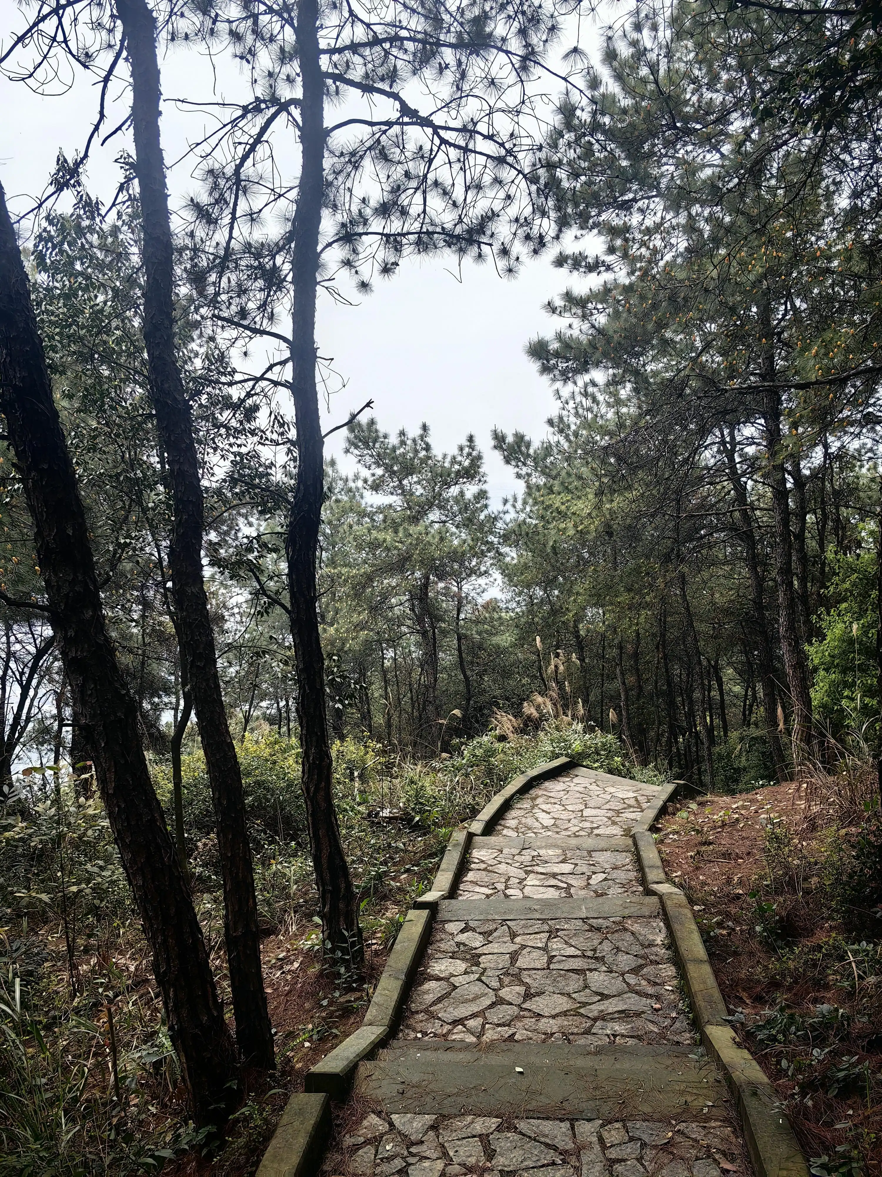Yufeng Mountain Forest Park - 玉峰山森林公园 Chongqing Tourist Attraction