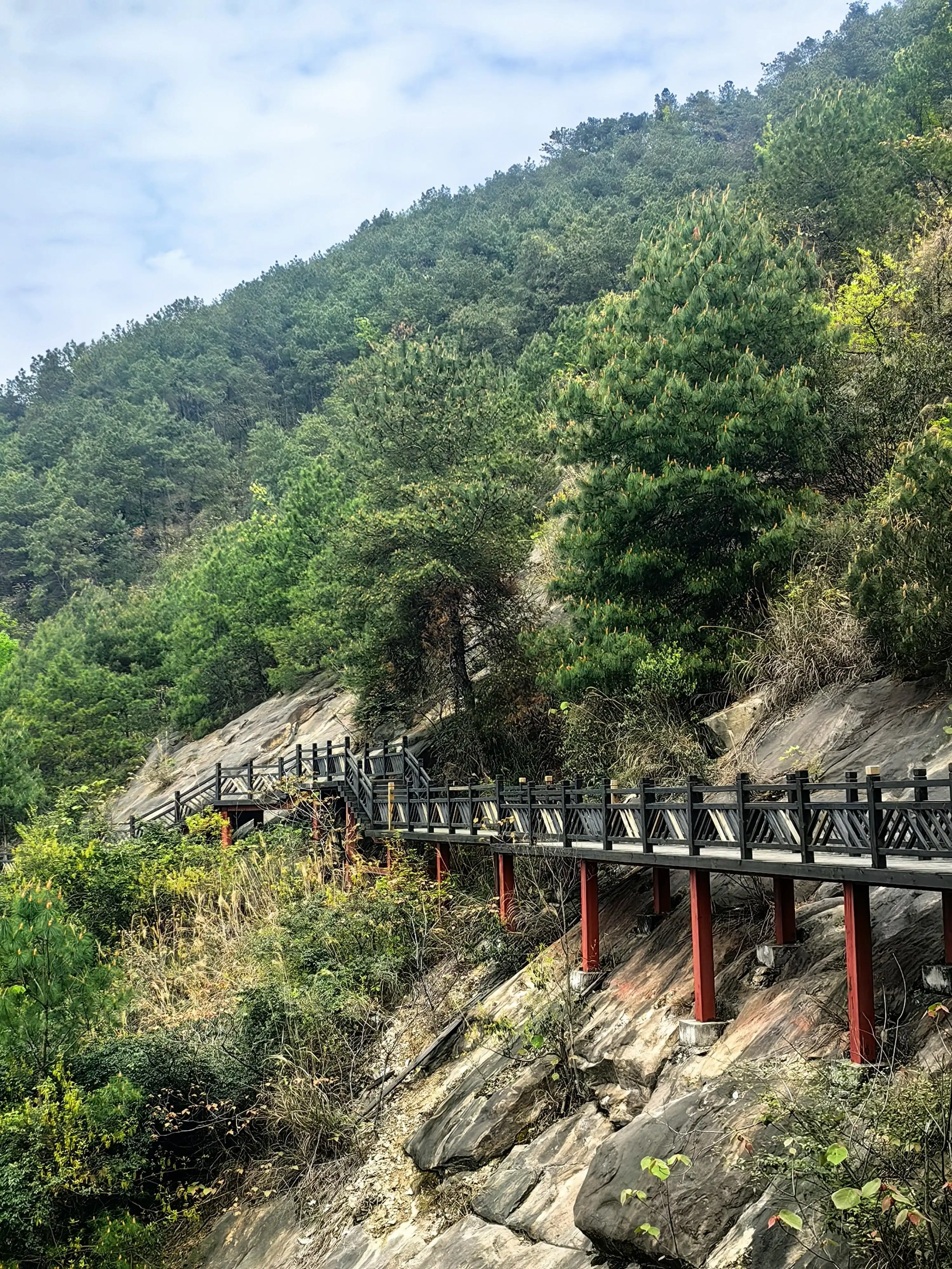 Yufeng Mountain Forest Park - 玉峰山森林公园 Chongqing Tourist Attraction