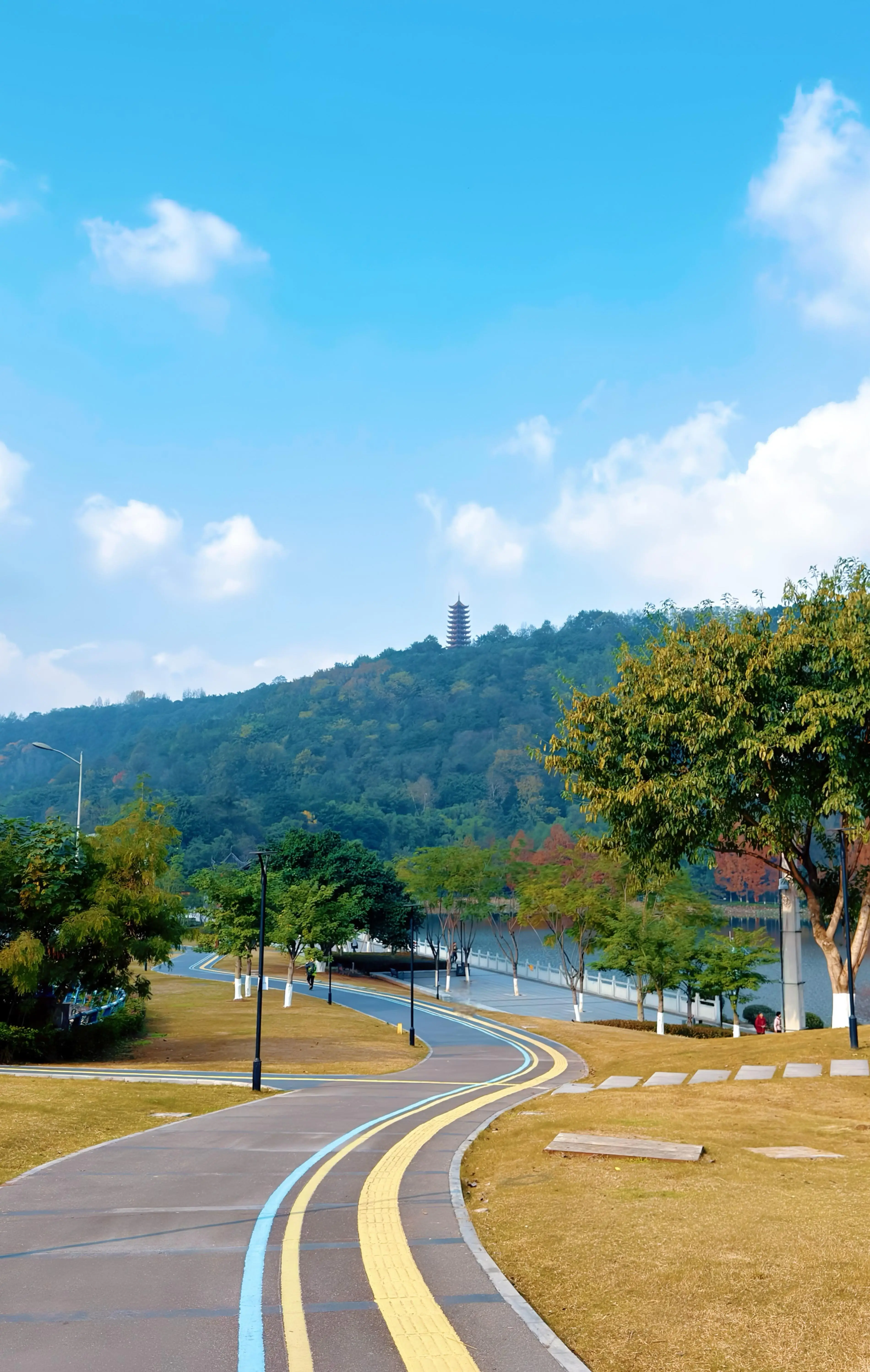 Zhaomushan Park - 照母山森林公园 Chongqing Tourist Attraction