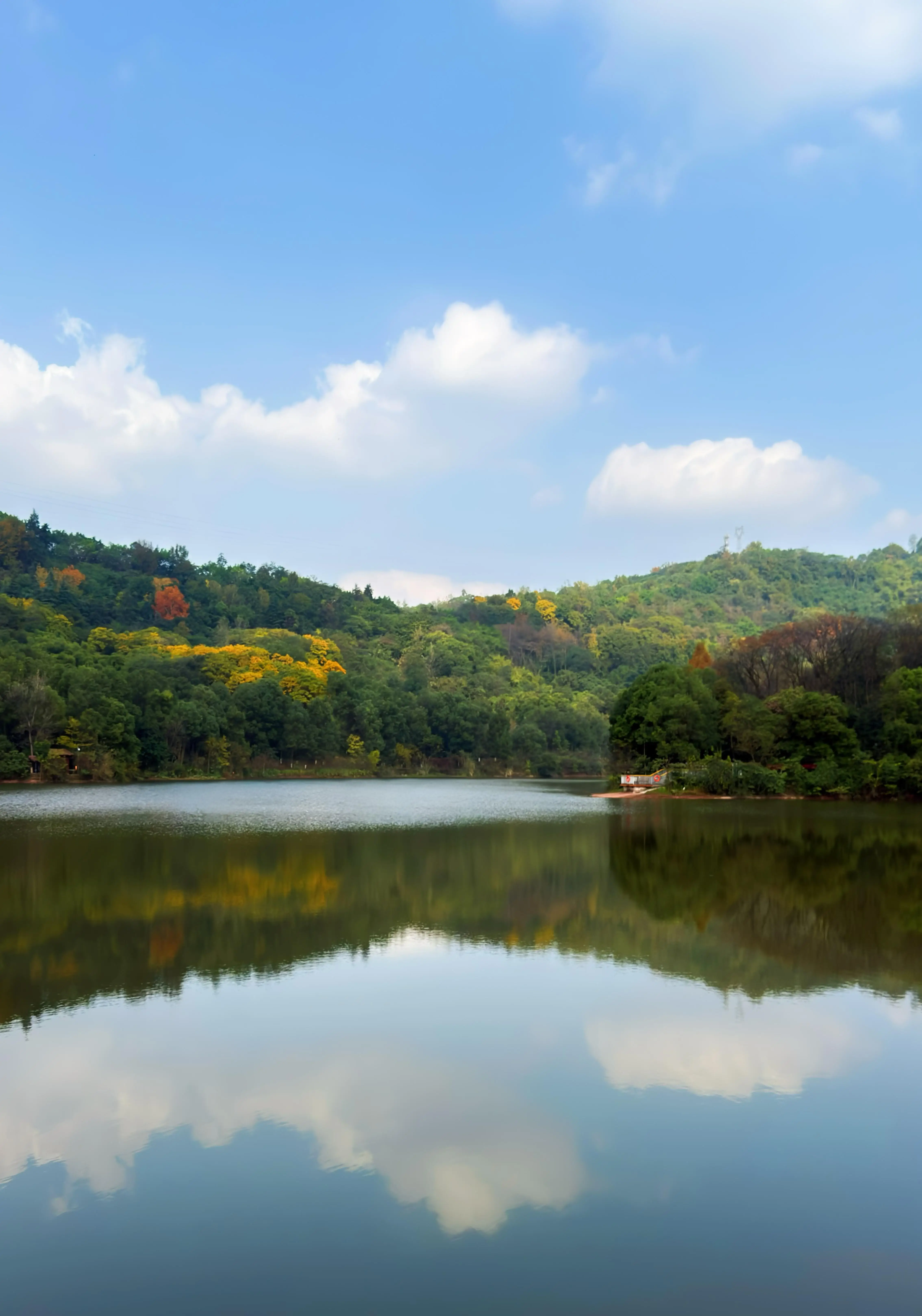 Zhaomushan Park - 照母山森林公园 Chongqing Tourist Attraction