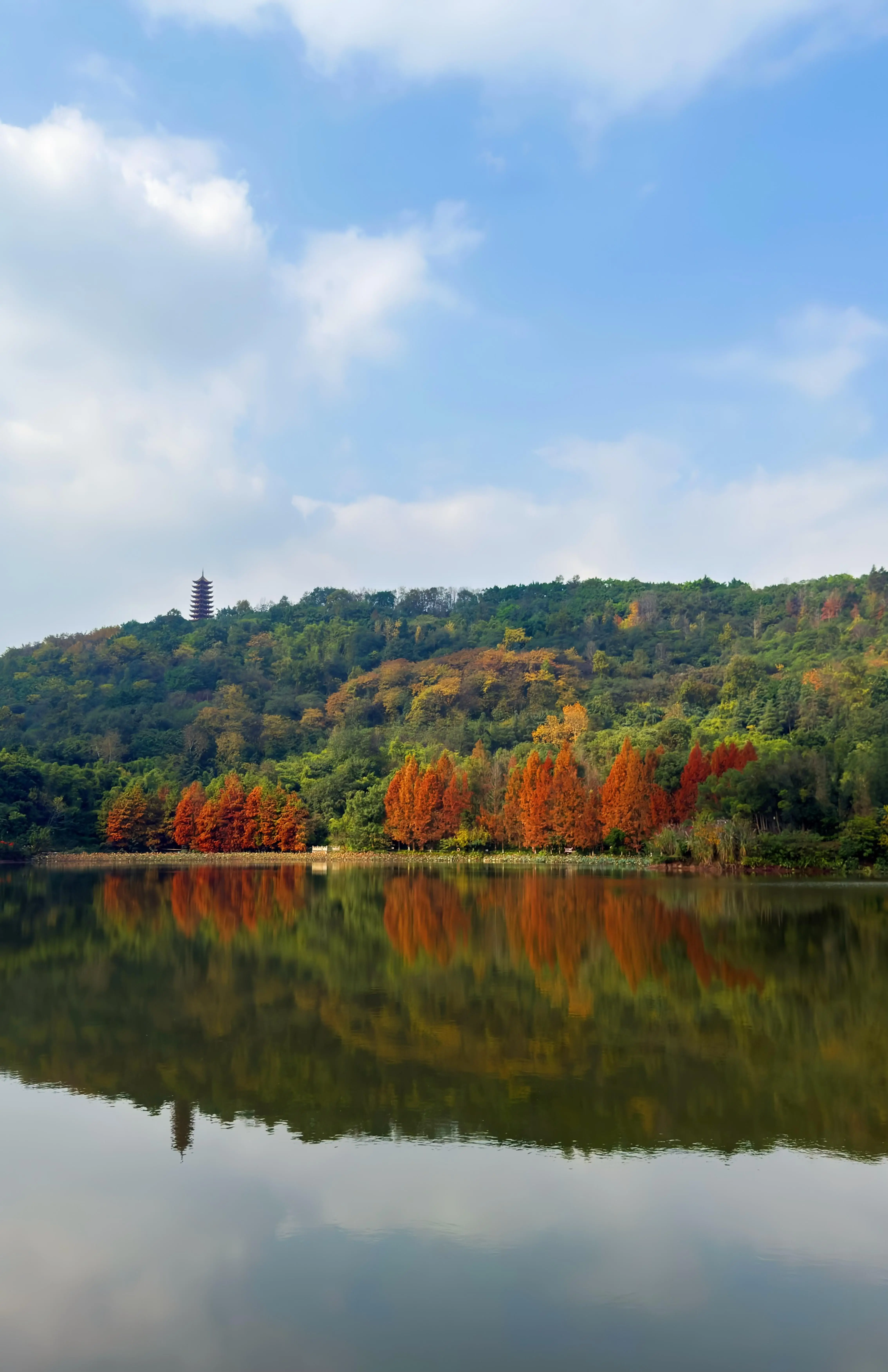 Zhaomushan Park - 照母山森林公园 Chongqing Tourist Attraction