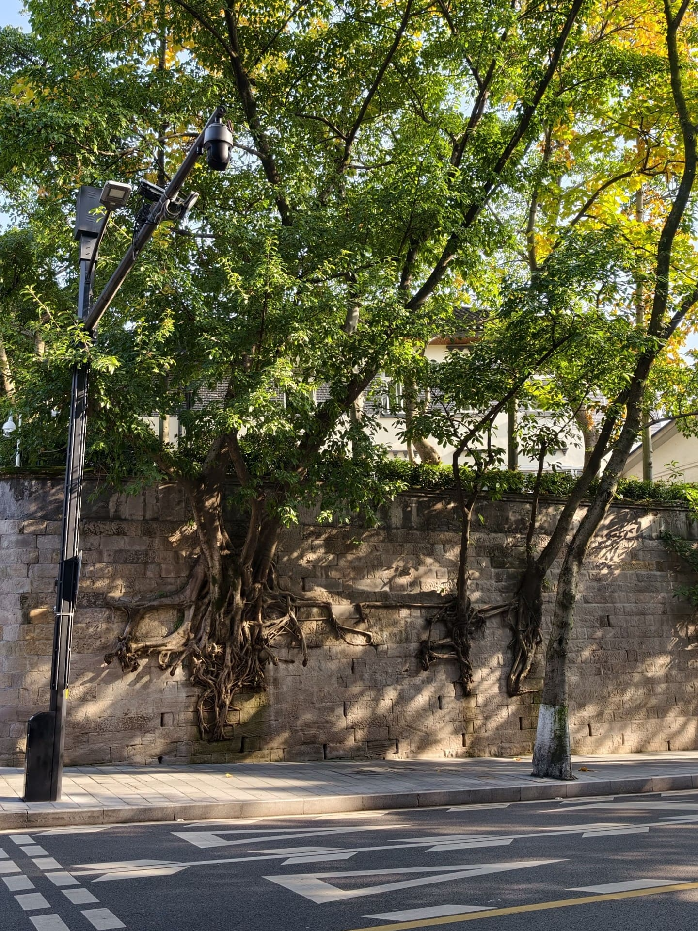 Zhongshan 4th Road - 中山四路 Chongqing Tourist Attraction