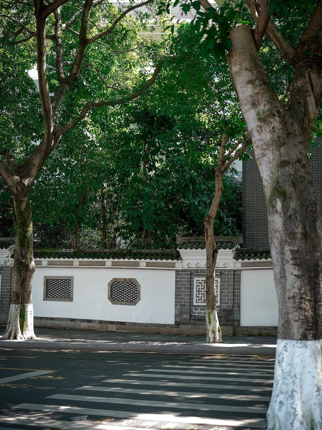 Zhongshan 4th Road - 中山四路 Chongqing Tourist Attraction