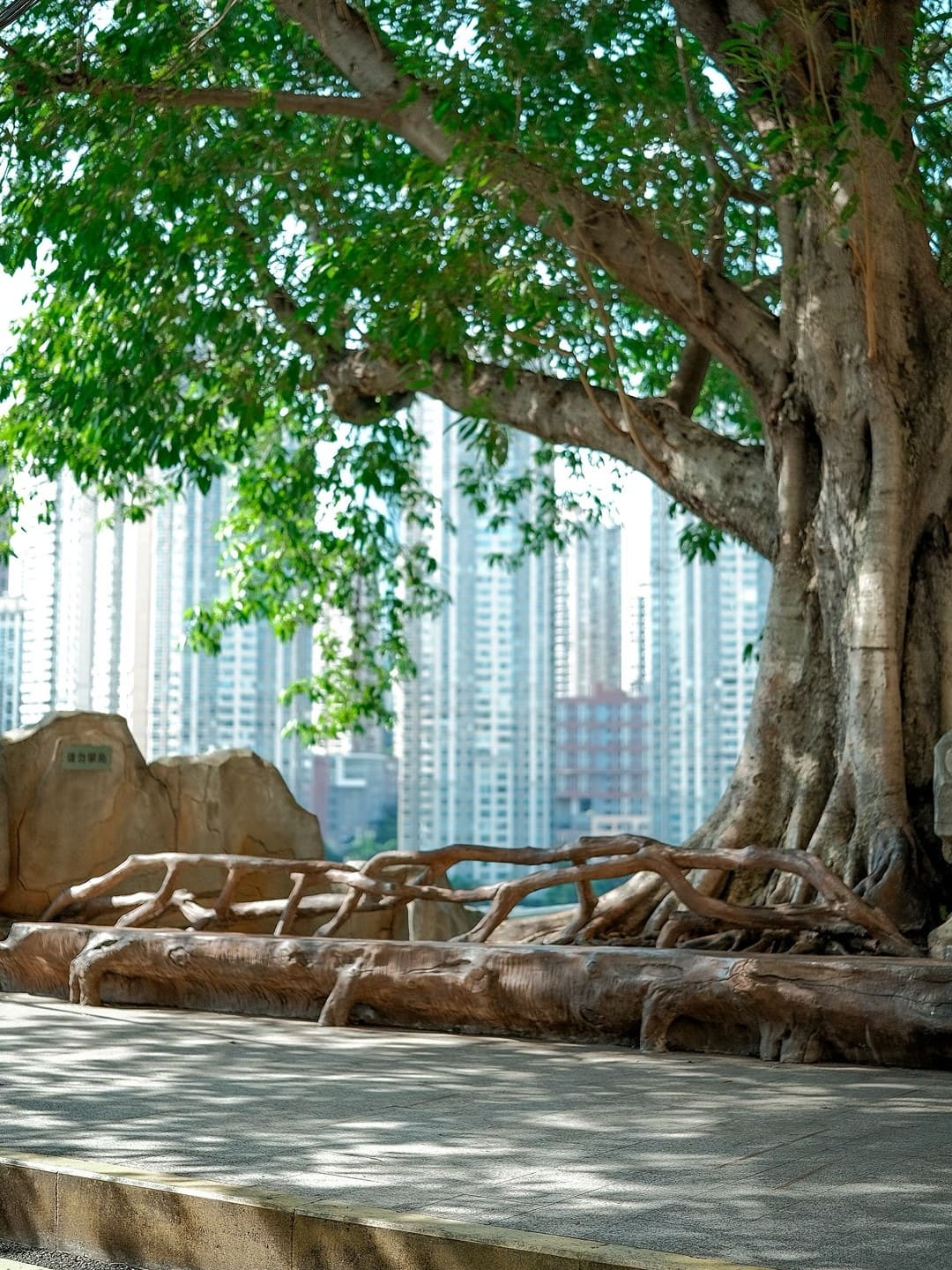 Zhongshan 4th Road - 中山四路 Chongqing Tourist Attraction