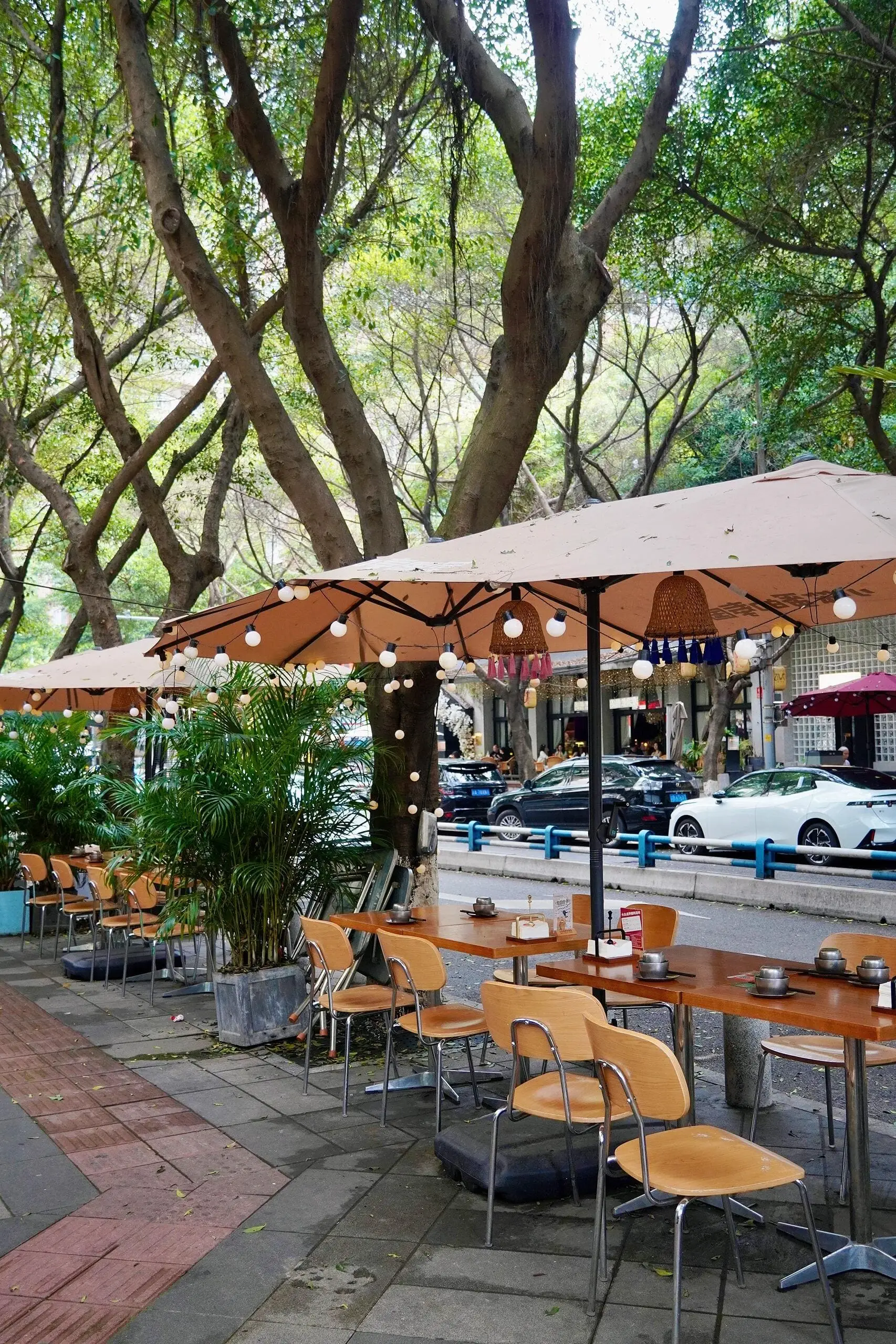 Ziwei Road - 紫薇路 Chongqing Tourist Attraction